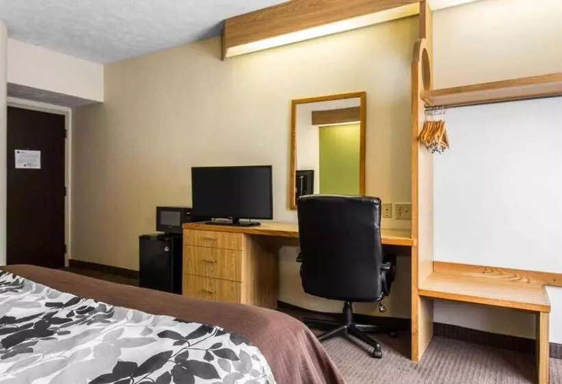 キングサイズベッドのスタンダードルーム, Surestay By Best Western Summerville Flowertown