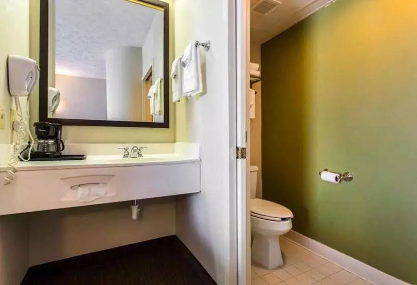 キングサイズベッドのスタンダードルーム, Surestay By Best Western Summerville Flowertown
