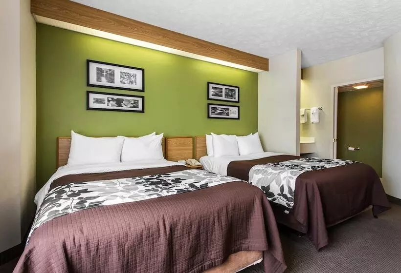 2ダブルベッドのスタンダードルーム, Surestay By Best Western Summerville Flowertown