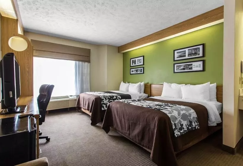 2ダブルベッドのスタンダードルーム, Surestay By Best Western Summerville Flowertown