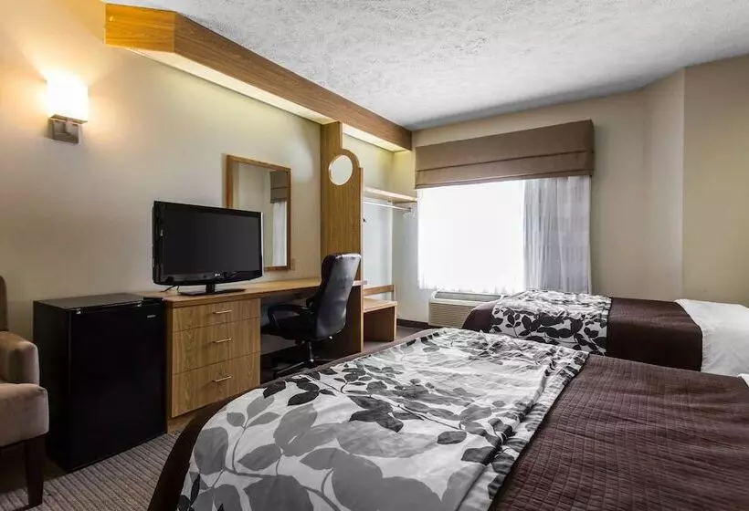 2ダブルベッドのスタンダードルーム, Surestay By Best Western Summerville Flowertown