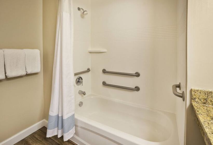 Люкс 2 Спальни, Towneplace Suites Detroit Dearborn