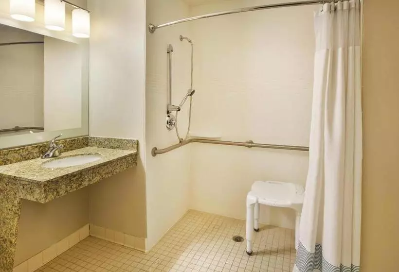 ２ベッドスイートルーム, Towneplace Suites Detroit Dearborn