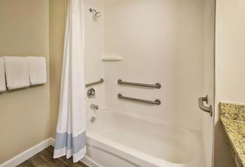 ２ベッドスイートルーム, Towneplace Suites Detroit Dearborn