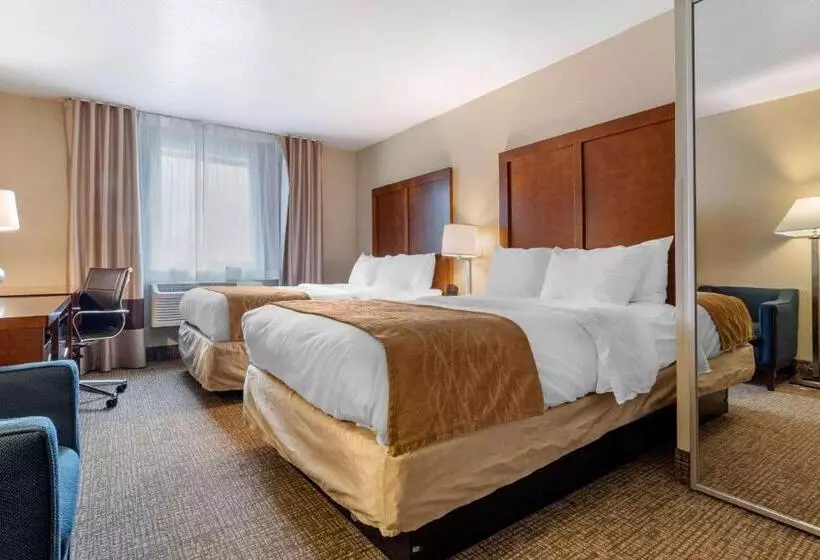 ２ダブルベッドのスタンダードルーム, Comfort Inn & Suites South Hill I85