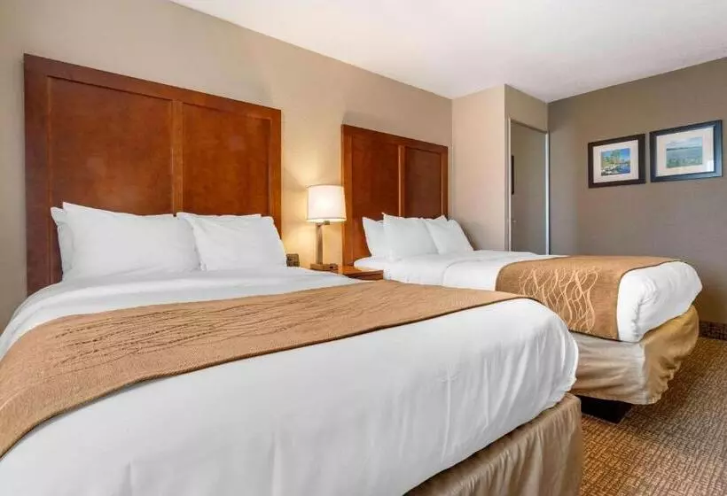 ２ダブルベッドのスタンダードルーム, Comfort Inn & Suites South Hill I85