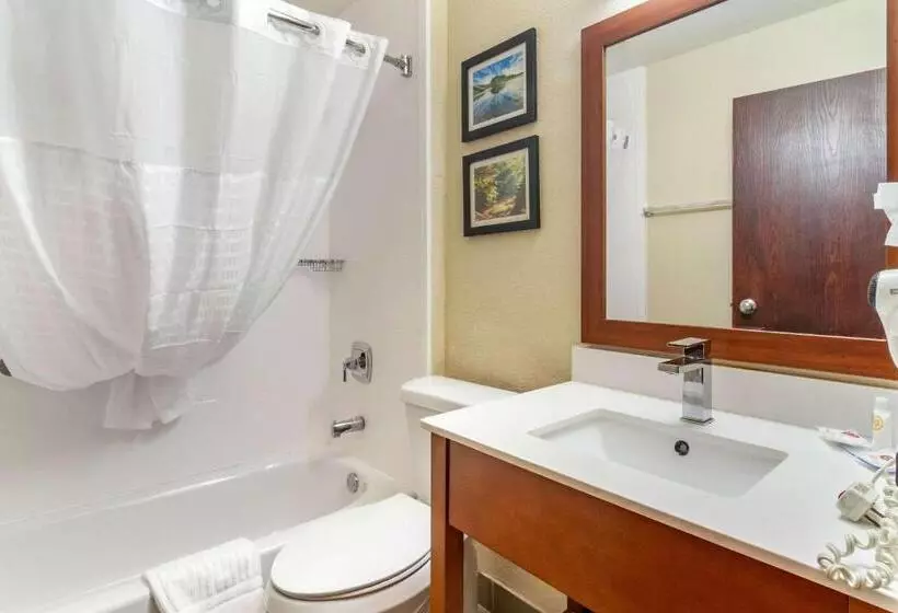 ２ダブルベッドのスタンダードルーム, Comfort Inn & Suites South Hill I85