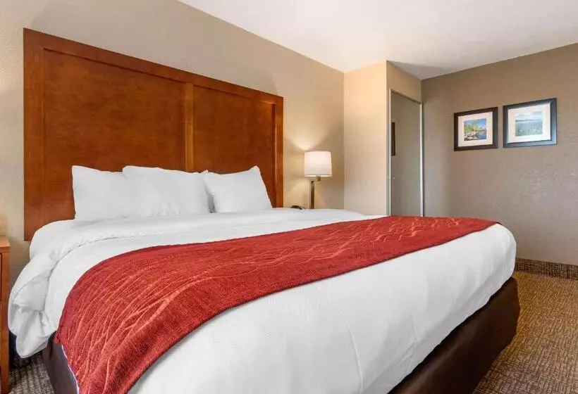 キングサイズベッドのスタンダードルーム, Comfort Inn & Suites South Hill I85