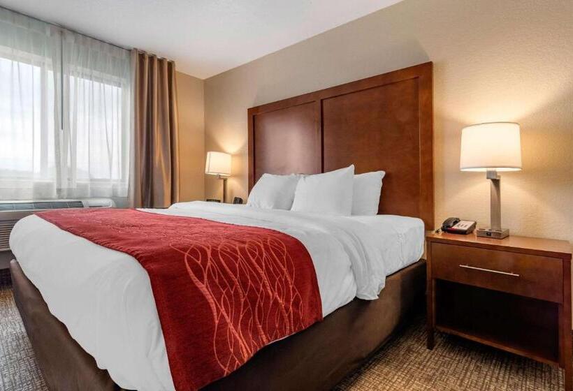 غرفة قياسية سرير كينج, Comfort Inn & Suites South Hill I85