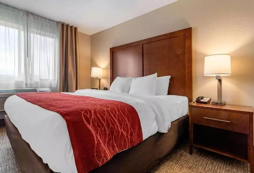 キングサイズベッドのスタンダードルーム, Comfort Inn & Suites South Hill I85