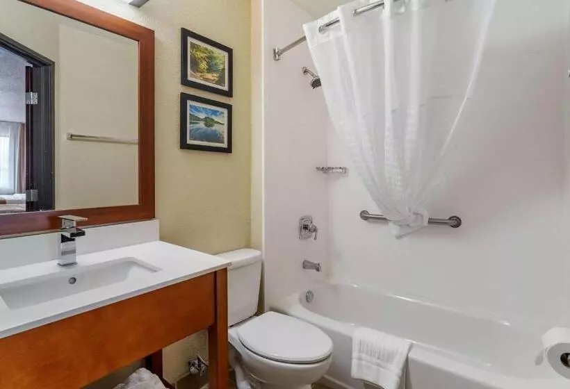 スタンダードルーム, Comfort Inn & Suites South Hill I85