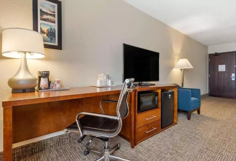 スタンダードルーム, Comfort Inn & Suites South Hill I85