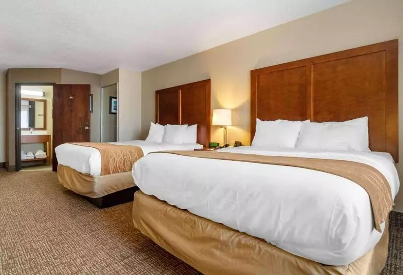 スタンダードルーム, Comfort Inn & Suites South Hill I85
