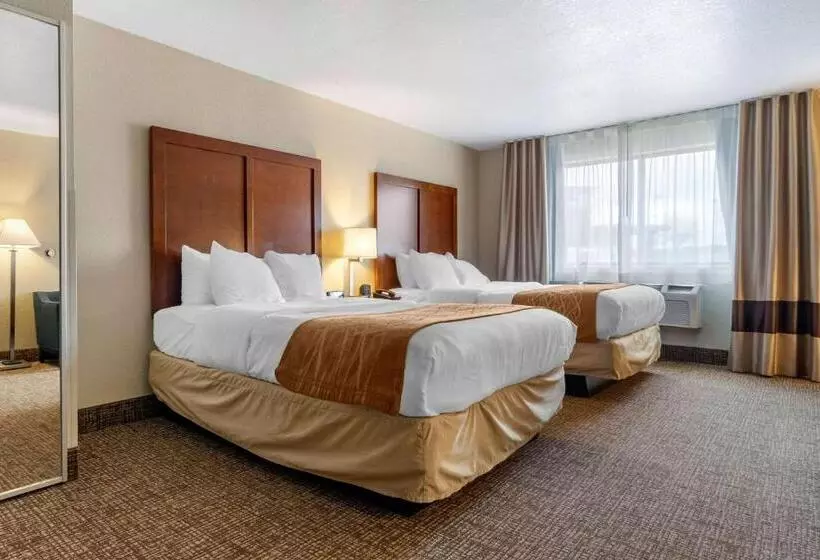 スタンダードルーム, Comfort Inn & Suites South Hill I85