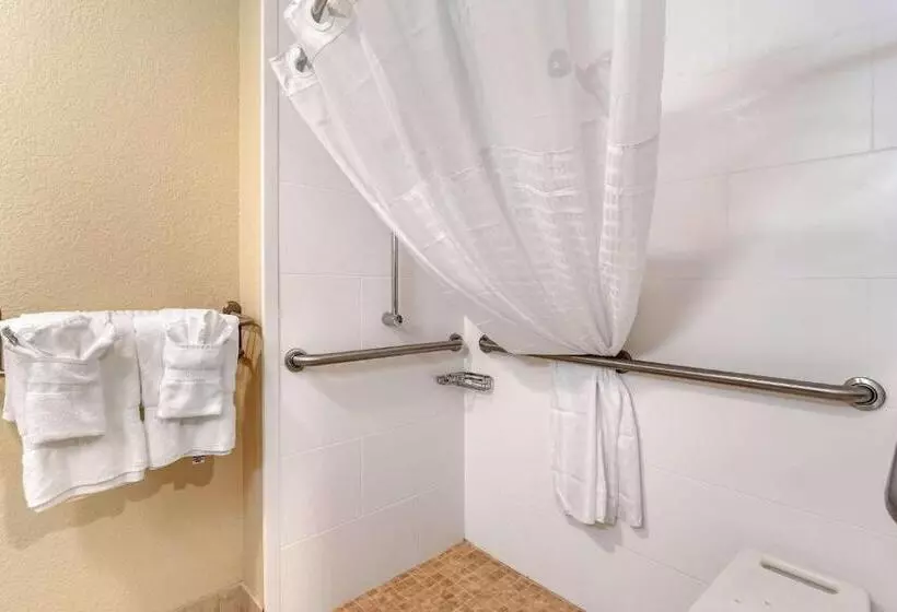身障者適用スタンダードルーム, Comfort Inn & Suites South Hill I85