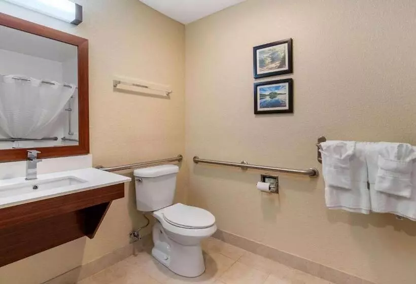 身障者適用スタンダードルーム, Comfort Inn & Suites South Hill I85