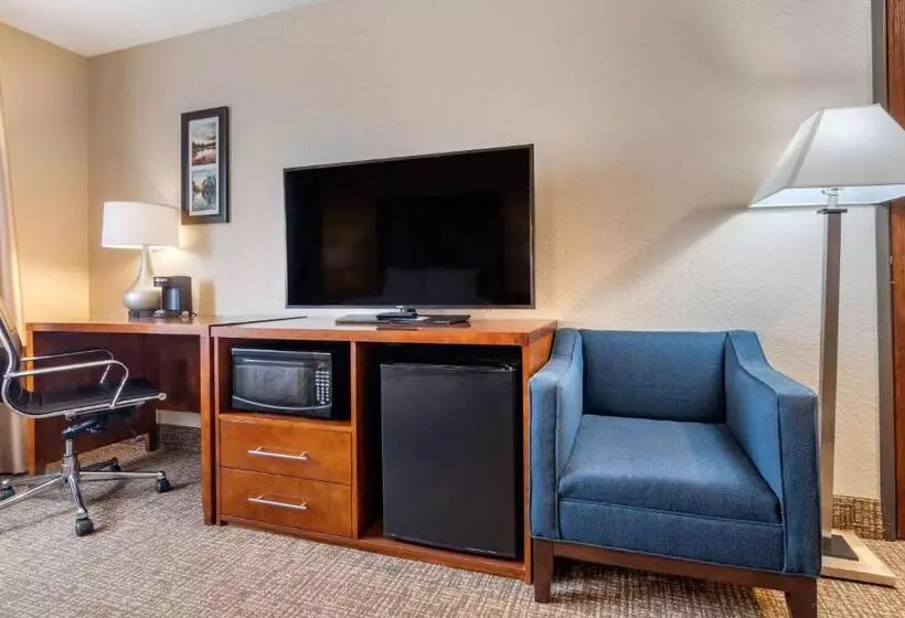 身障者適用スタンダードルーム, Comfort Inn & Suites South Hill I85