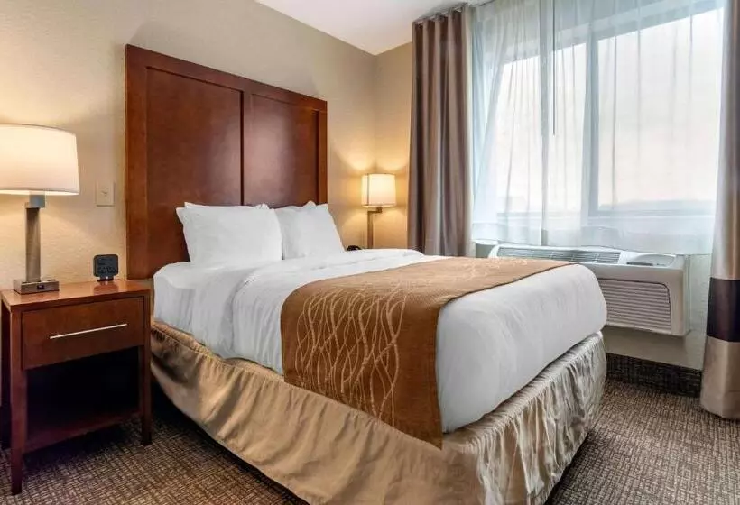 身障者適用スタンダードルーム, Comfort Inn & Suites South Hill I85