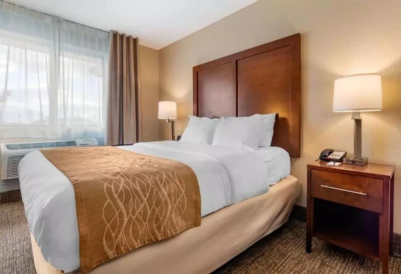 身障者適用スタンダードルーム, Comfort Inn & Suites South Hill I85