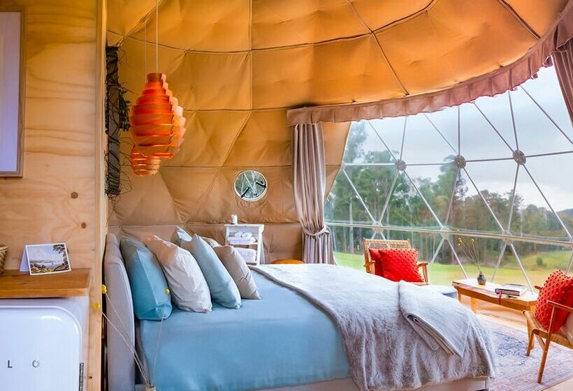 Standard Tent, Domescapes In The Vines