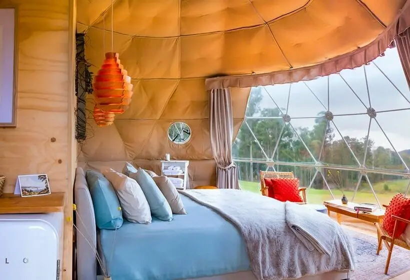 Standard Tent, Domescapes In The Vines