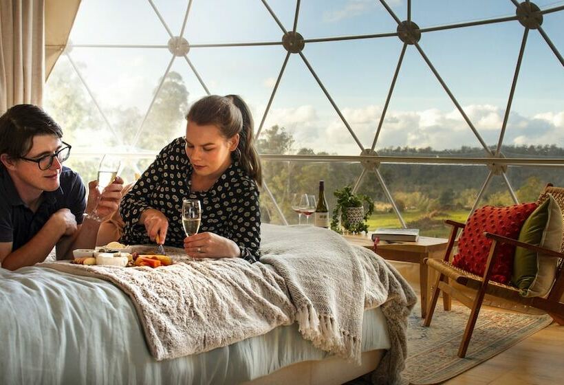 كوخ قياسي, Domescapes In The Vines