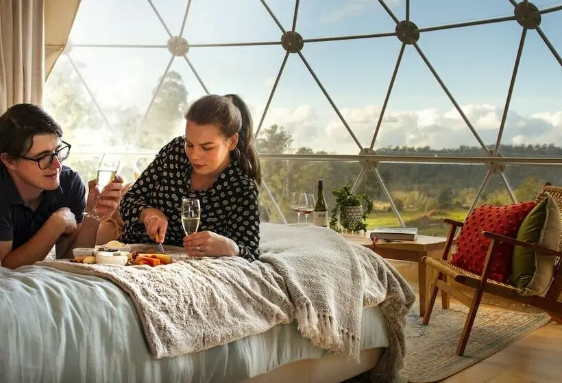 Standard Tent, Domescapes In The Vines