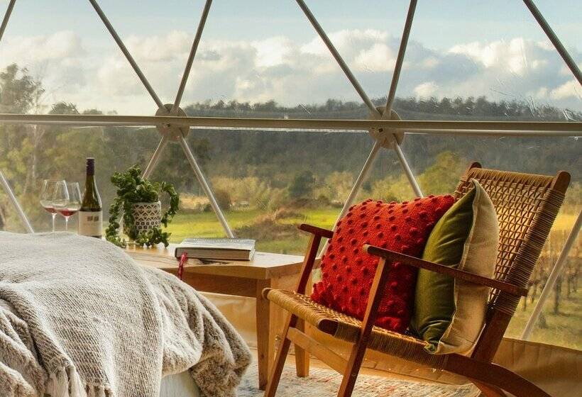 كوخ قياسي, Domescapes In The Vines