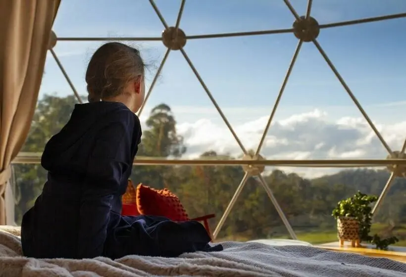 Standard Tent, Domescapes In The Vines