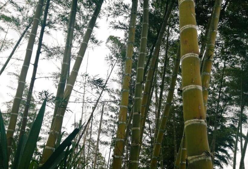Дом 1 Спальня, Vista Hermosa Eco Hostal