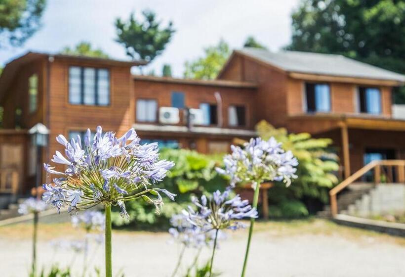 패밀리 룸, Apart Hotel Puchaley Lafquen