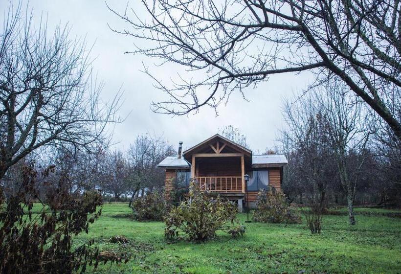 스탠다드 방갈로, Apart Hotel Puchaley Lafquen