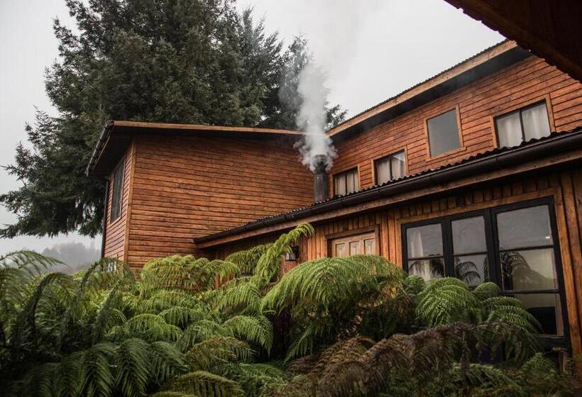 Номер Стандарт Вид на Сад, Apart Hotel Puchaley Lafquen