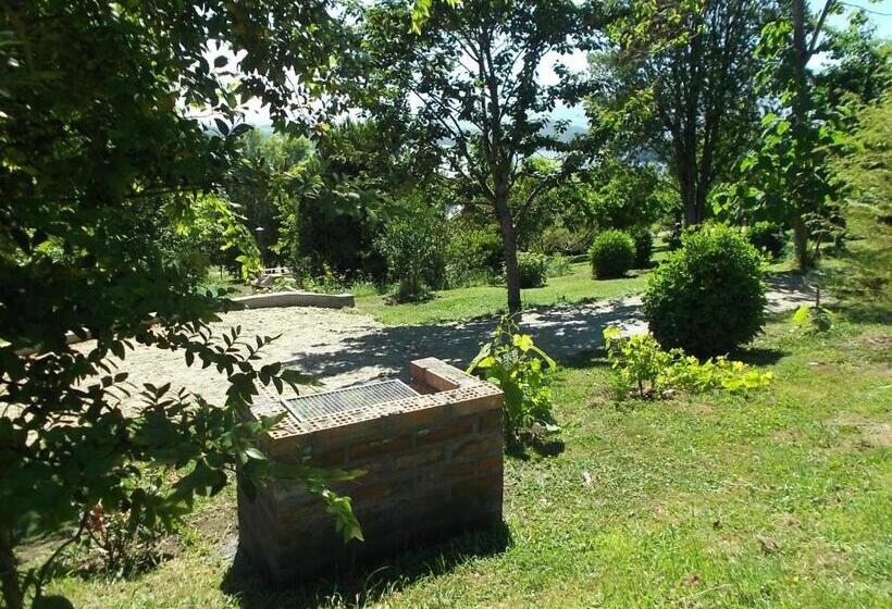 스탠다드 싱글 룸, Apart Hotel Puchaley Lafquen