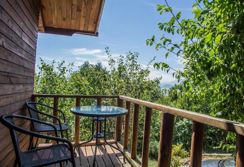 스탠다드 싱글 룸, Apart Hotel Puchaley Lafquen