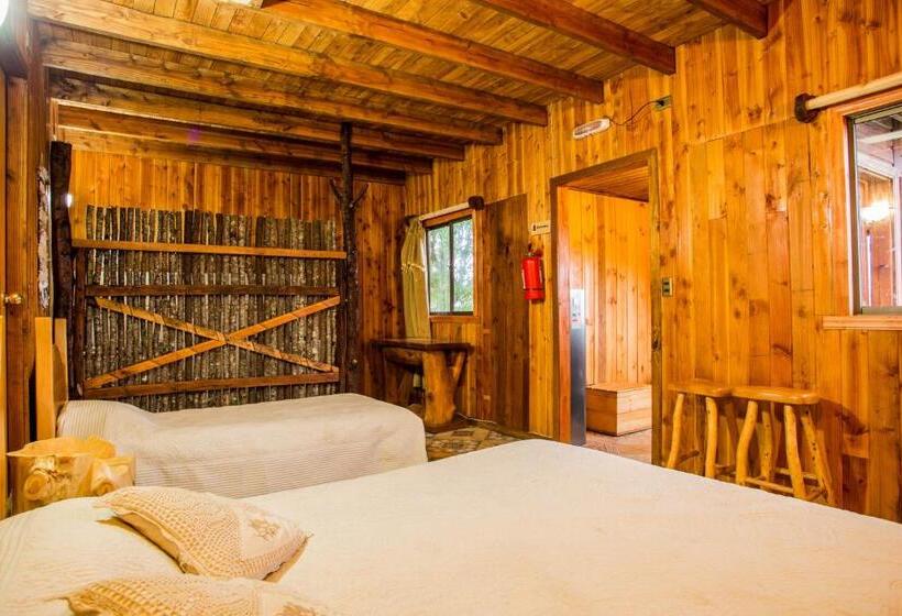 Люкс, Apart Hotel Puchaley Lafquen