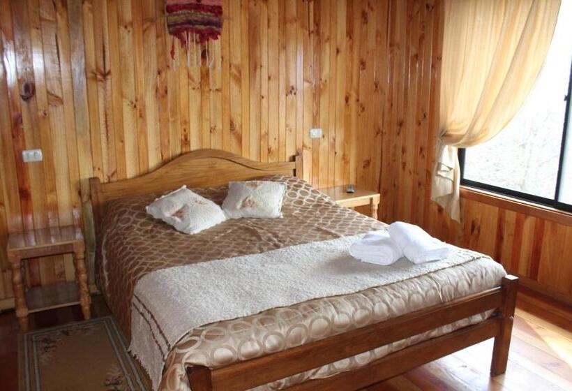 Suite with lake view, Apart Hotel Puchaley Lafquen