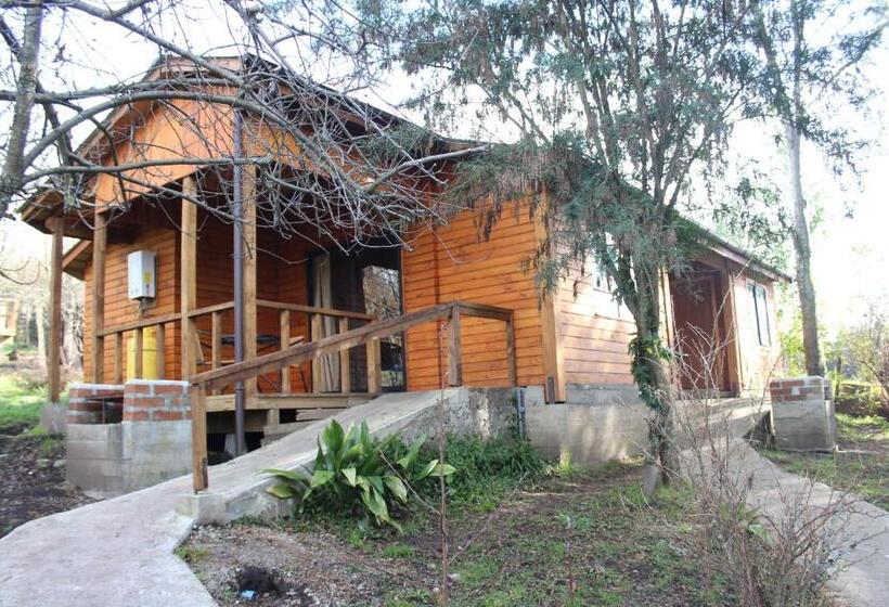 가든 전망 스위트, Apart Hotel Puchaley Lafquen