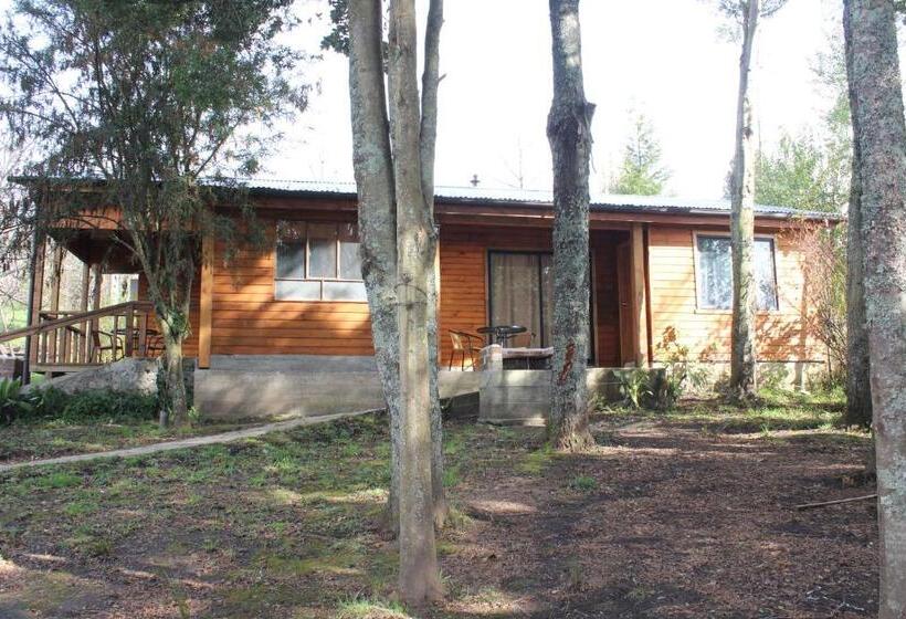 가든 전망 스위트, Apart Hotel Puchaley Lafquen