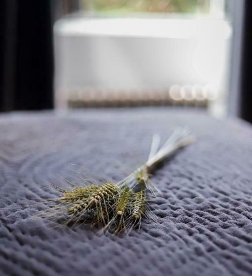 غرفة قياسية مطلّة علي الحديقة, Le Moulin Bleu