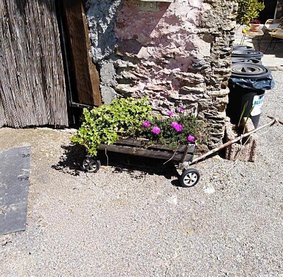 חדר סטנדרט לארבעה, Ca  Do Diao