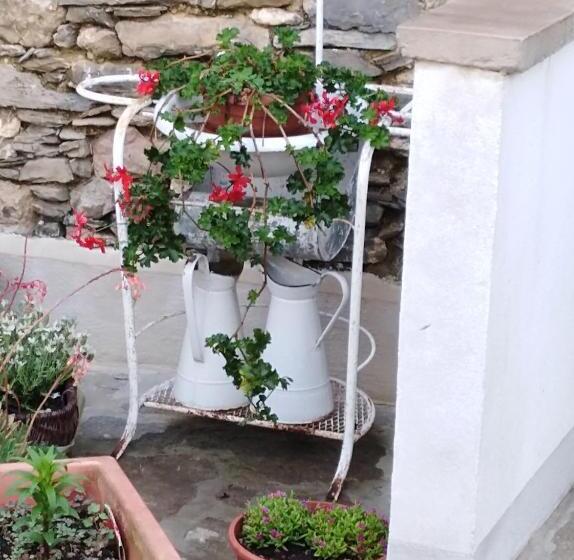 חדר סטנדרט לארבעה, Ca  Do Diao