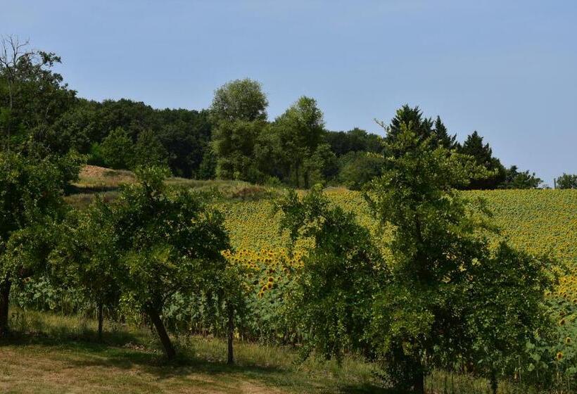 غرفة قياسية مطلّة علي الحديقة, Domaine De Calbiac
