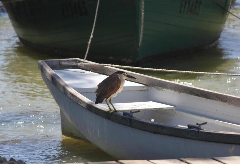 침실 1개 주택, Boathouse  Birks River Retreat