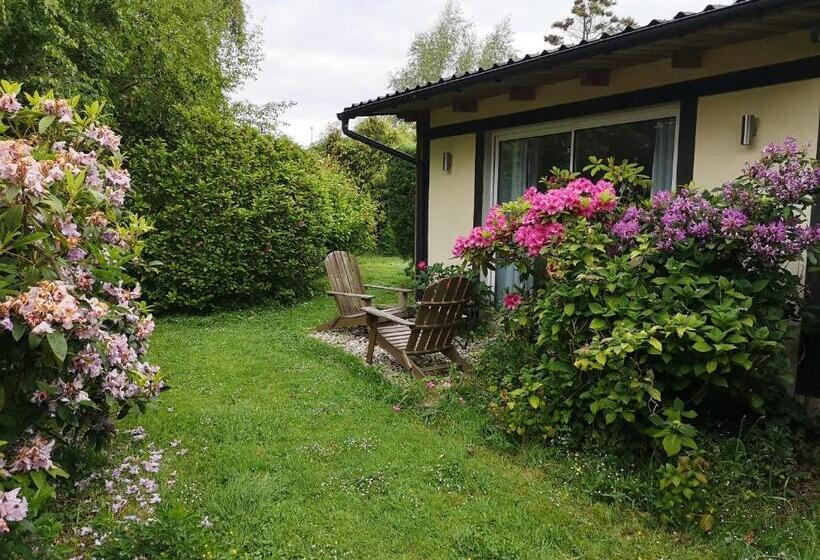 Номер Стандарт, Les Hauts D'etretat