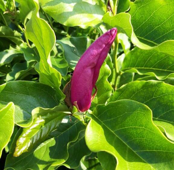 标准间, Les Puits Bessin Normandie