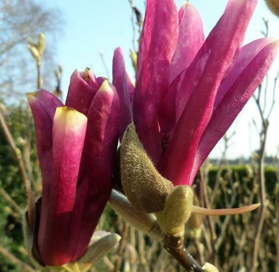 标准间, Les Puits Bessin Normandie