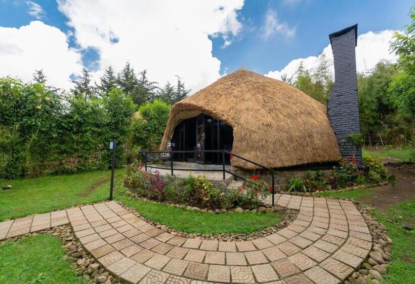 اتاق لوکس, Amarembo By Touch Down