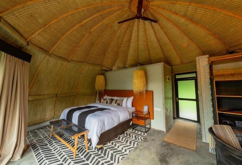 اتاق لوکس, Amarembo By Touch Down