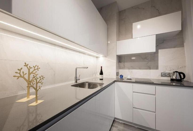 Апартаменты 1 Спальня, Odrzańska Residence Old Town